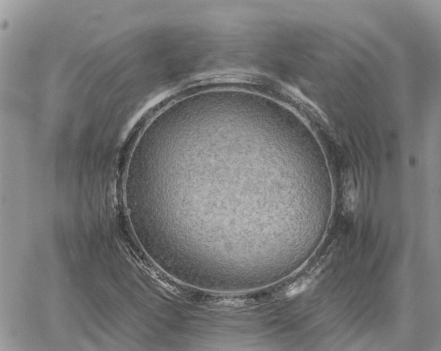 X0000062171166200512121233