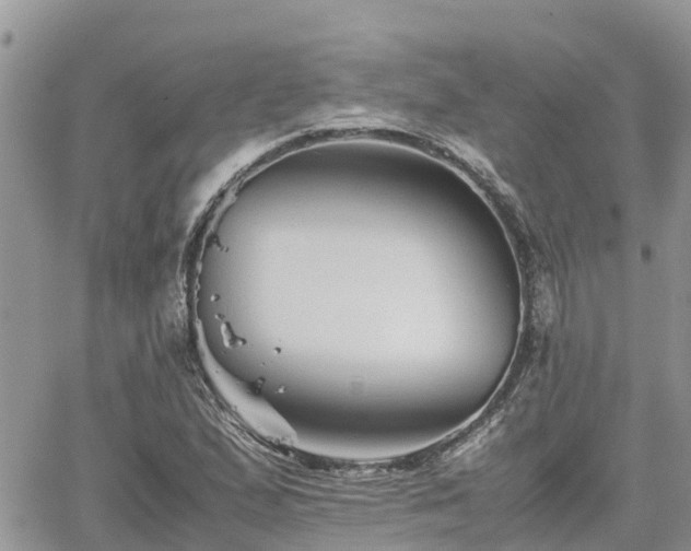 X0000062171167200512121233