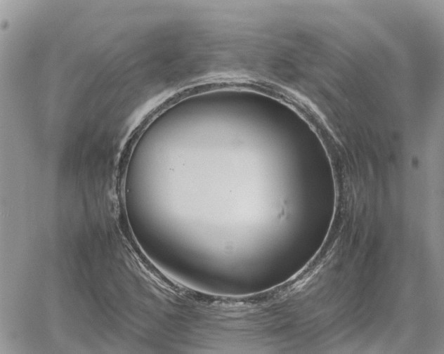 X0000062171168200512121233