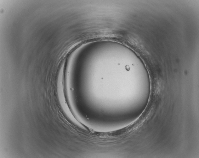 X0000062171169200512121233