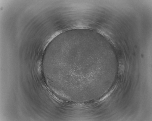 X0000062171170200512121233