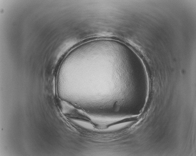 X0000062171171200512121233