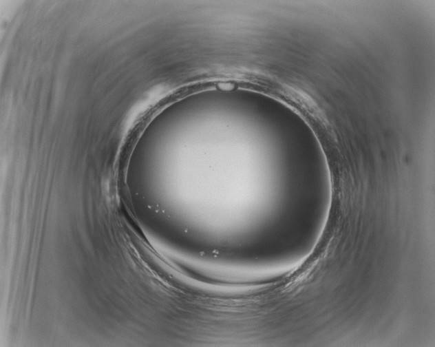 X0000062171172200512121233