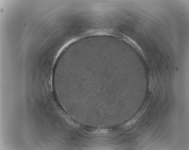 X0000062171174200512121233