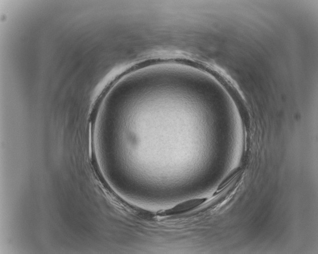 X0000062171175200512121233