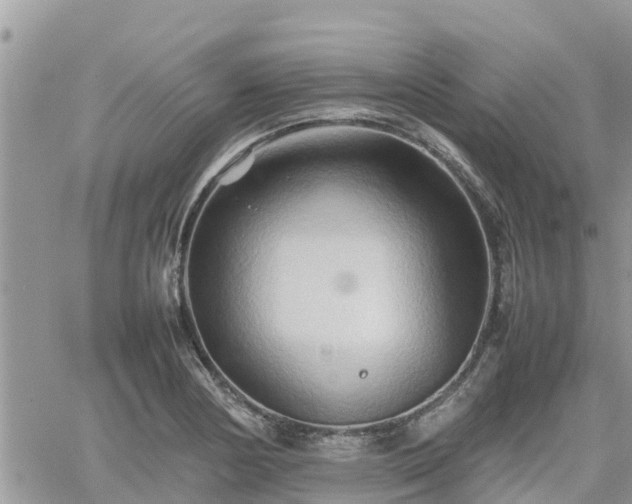 X0000062171178200512121233