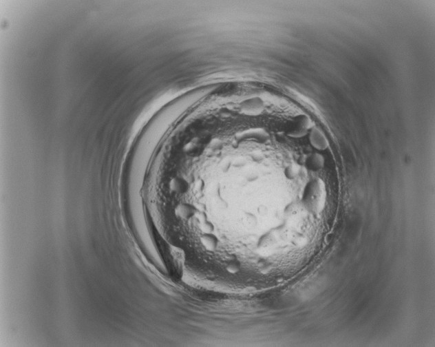 X0000062171179200512121233