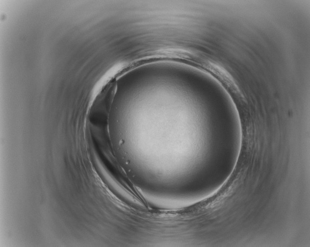 X0000062171180200512121233