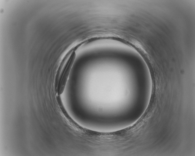 X0000062171181200512121233