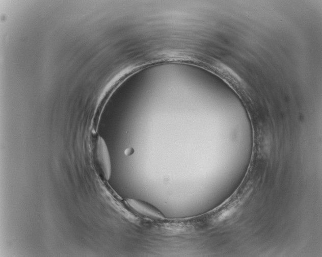 X0000062171182200512121233