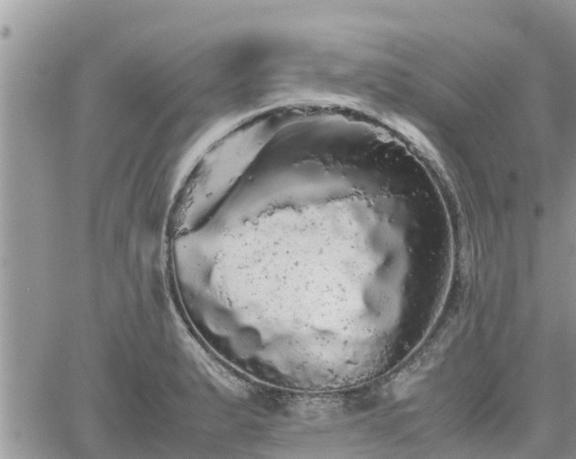 X0000062171183200512121233