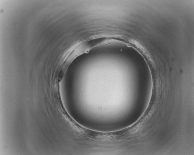 X0000062171185200512121232