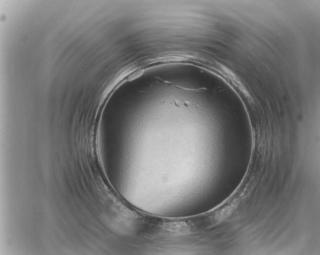 X0000062171186200512121232