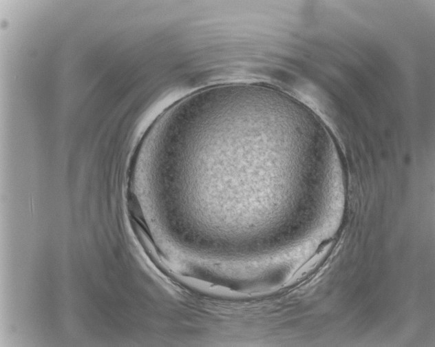 X0000062171187200512121232