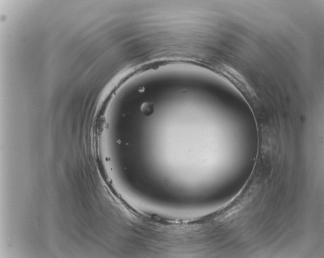 X0000062171188200512121232