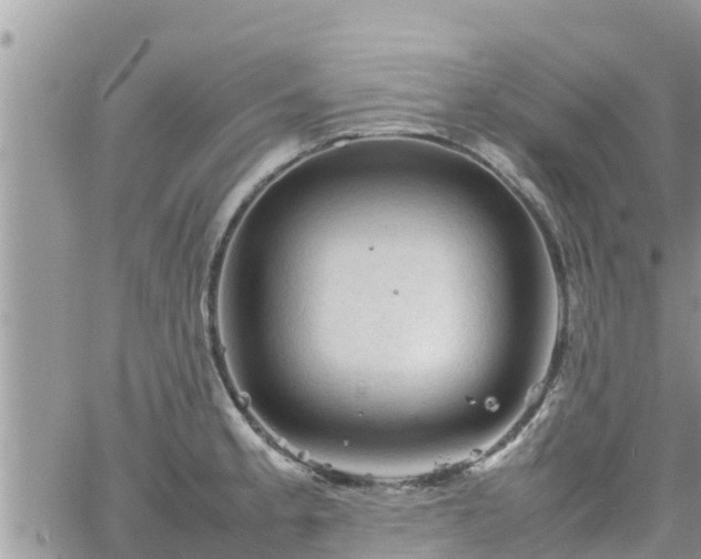 X0000062171189200512121232