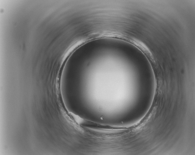 X0000062171190200512121232