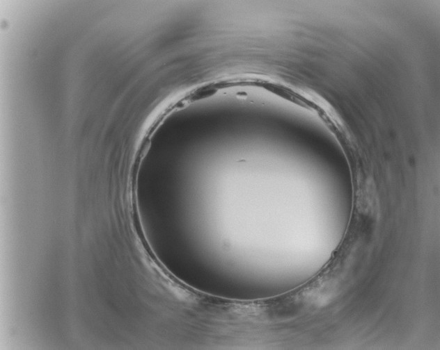 X0000062171191200512121232