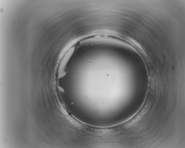 X0000062171192200512121232