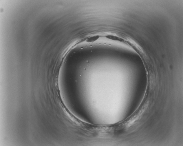 X0000062171193200512121232