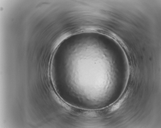 X0000062171194200512121232