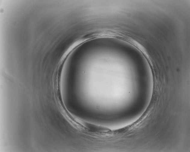 X0000062171195200512121232