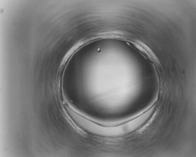 X0000062171196200512121232