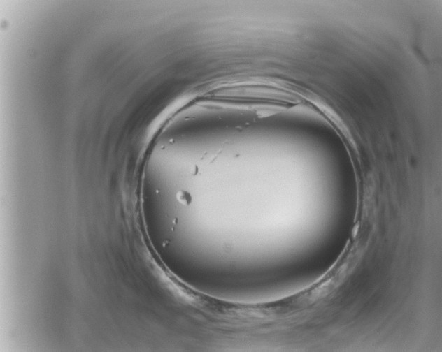 X0000062171197200512121232