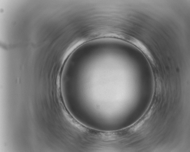 X0000062171198200512121232