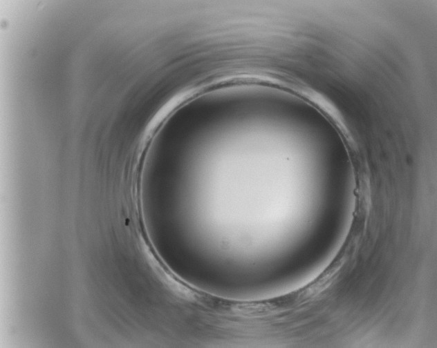 X0000062171199200512121232