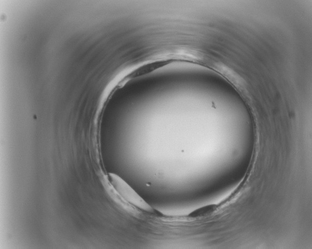 X0000062171200200512121232