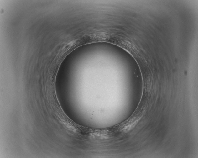 X0000062171201200512121231