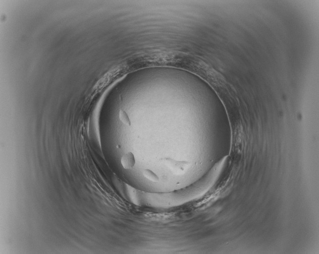 X0000062171202200512121231