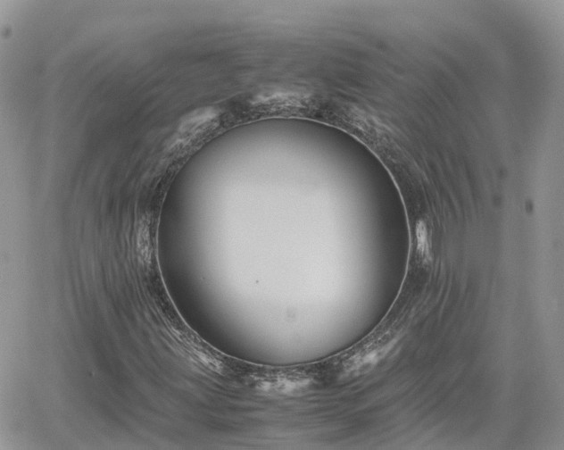 X0000062171203200512121231