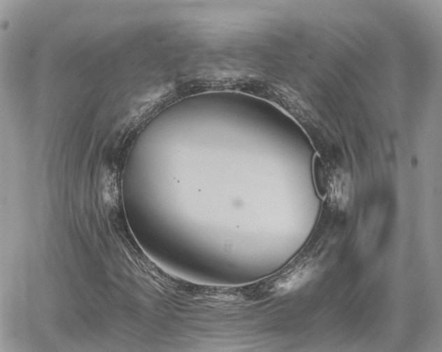 X0000062171204200512121232