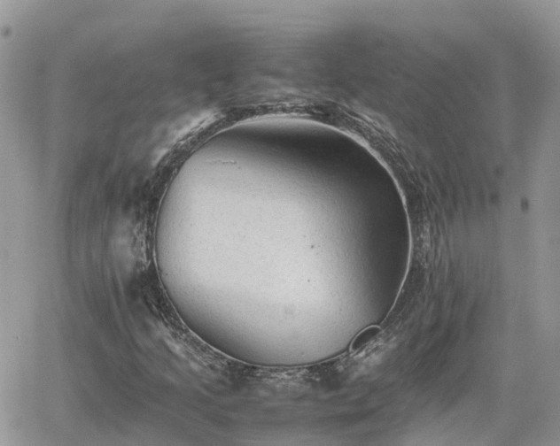 X0000062171205200512121232