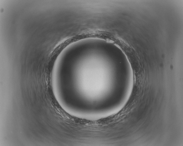 X0000062171206200512121232