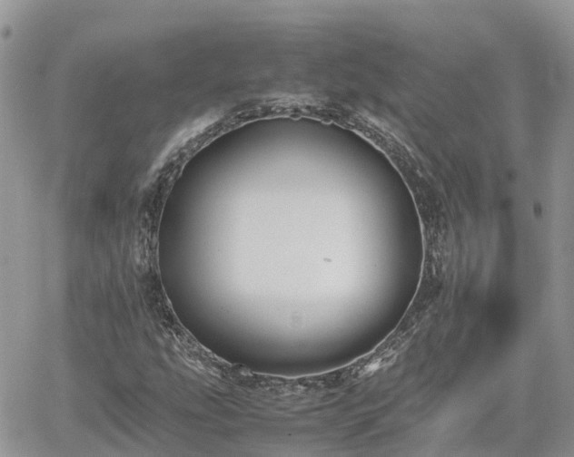 X0000062171207200512121232