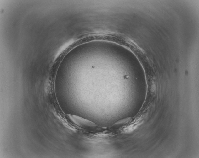 X0000062171208200512121232