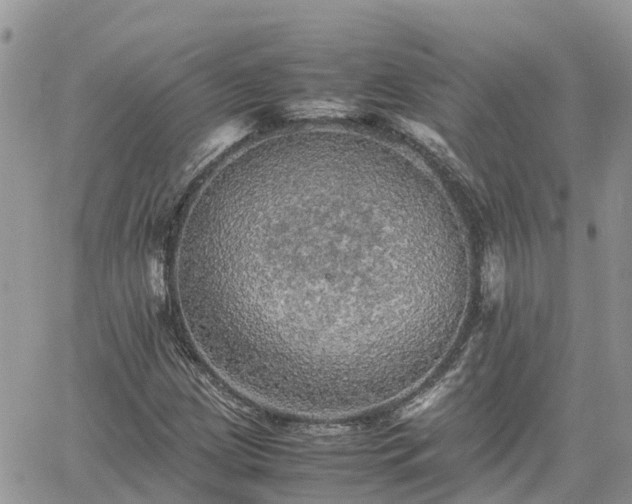 X0000062171209200512121232