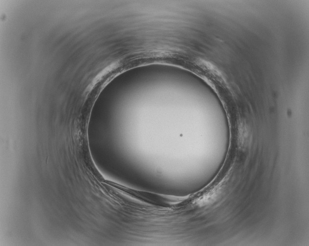 X0000062171210200512121232