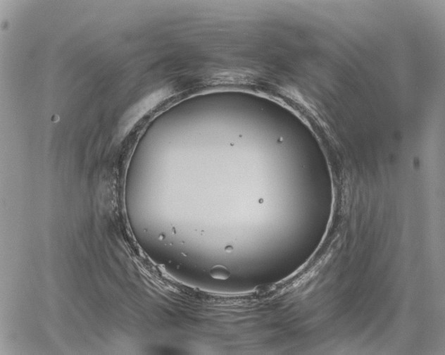 X0000062171211200512121232