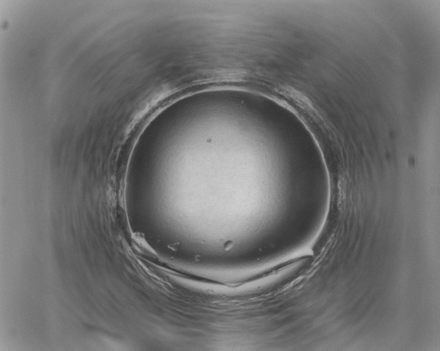 X0000062171212200512121232