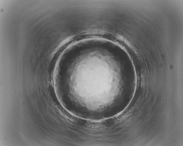 X0000062171213200512121232