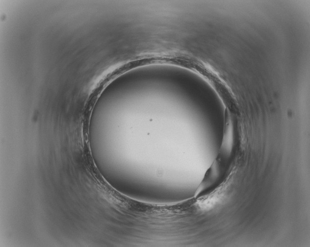 X0000062171214200512121232