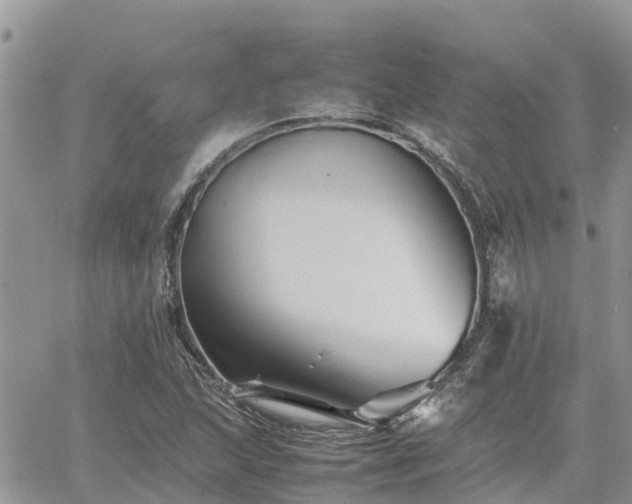 X0000062171215200512121232