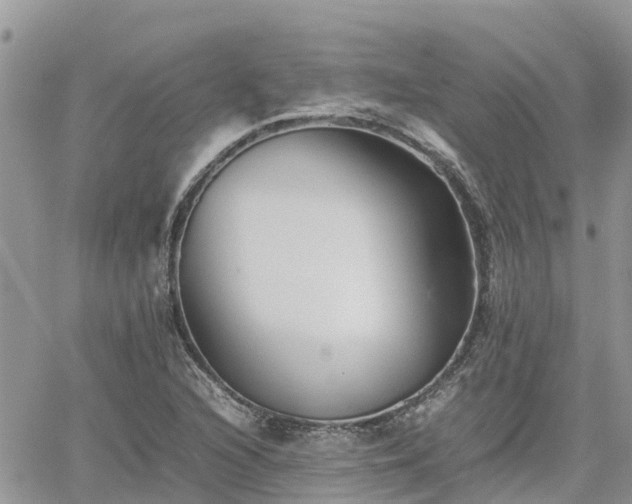 X0000062171216200512121232