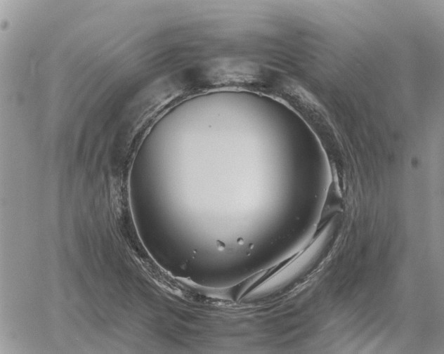 X0000062171217200512121232