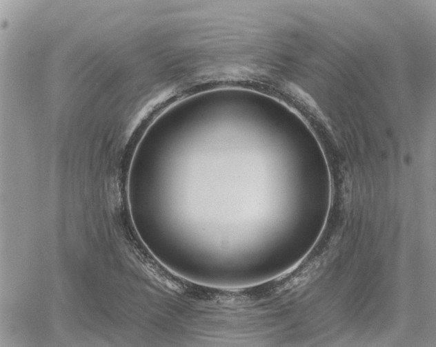 X0000062171218200512121232