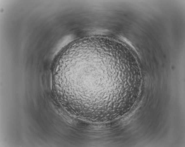 X0000062171219200512121232